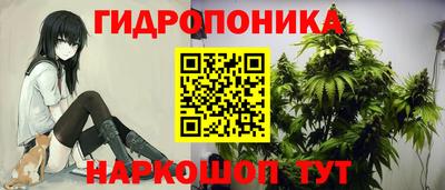 крисы Ангарск