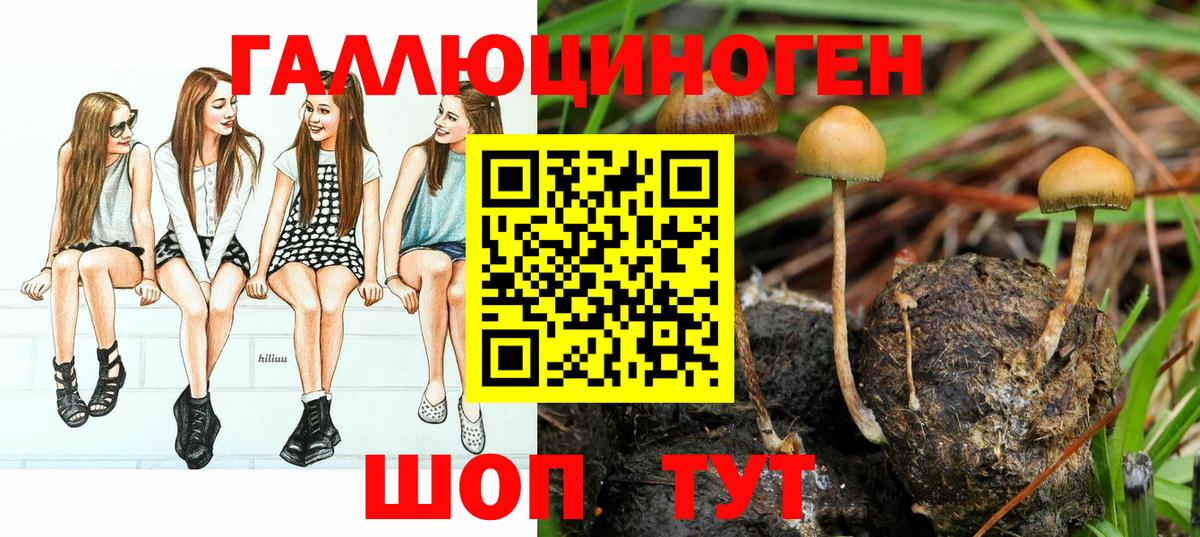 Киров  Галлюциногенные грибы Psilocybine cubensis  Вход с VPN  Галлюциногенные грибы Magic Shrooms 